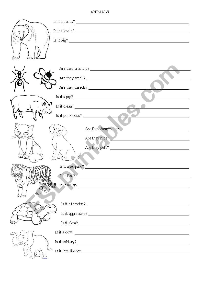 Animals and adjectives - verb to be int form (simple pr)