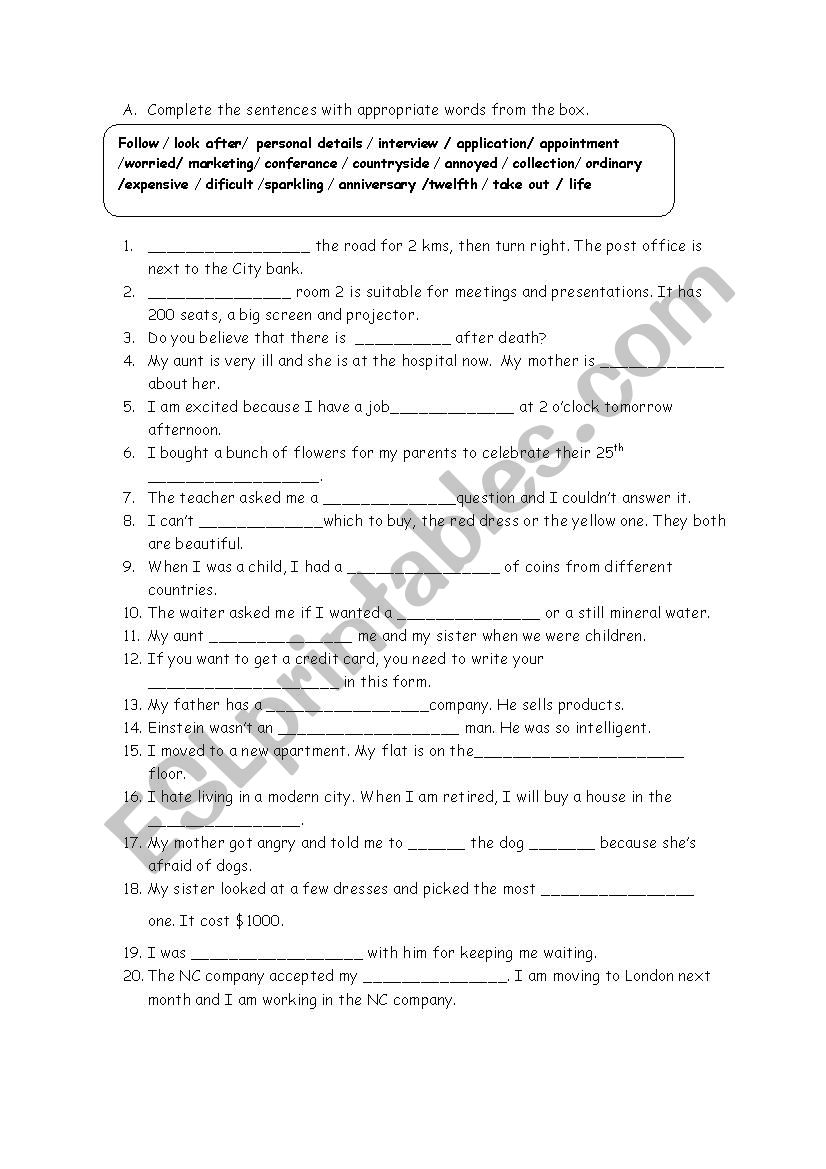 Vocabulary revision  worksheet