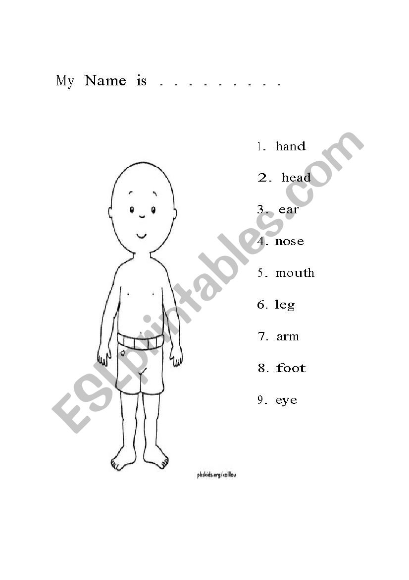 Parts of the body caillou worksheet