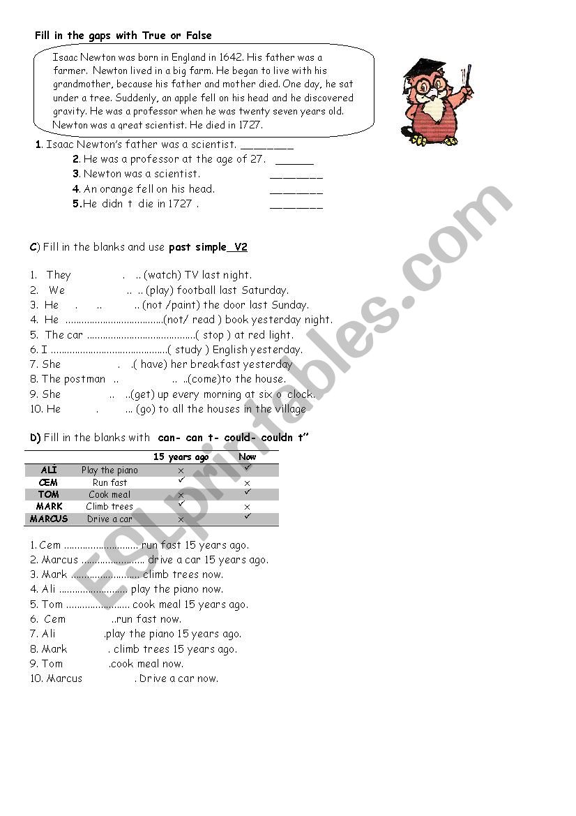 past simple worksheet