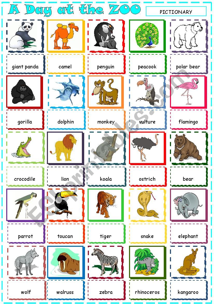 A Day at the Zoo worksheet