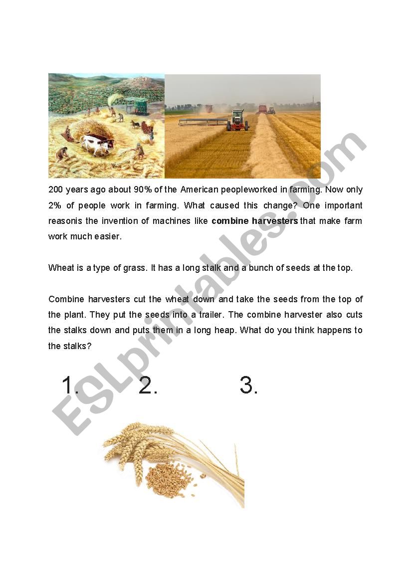 Combine Harvester Reading Jigsaw 