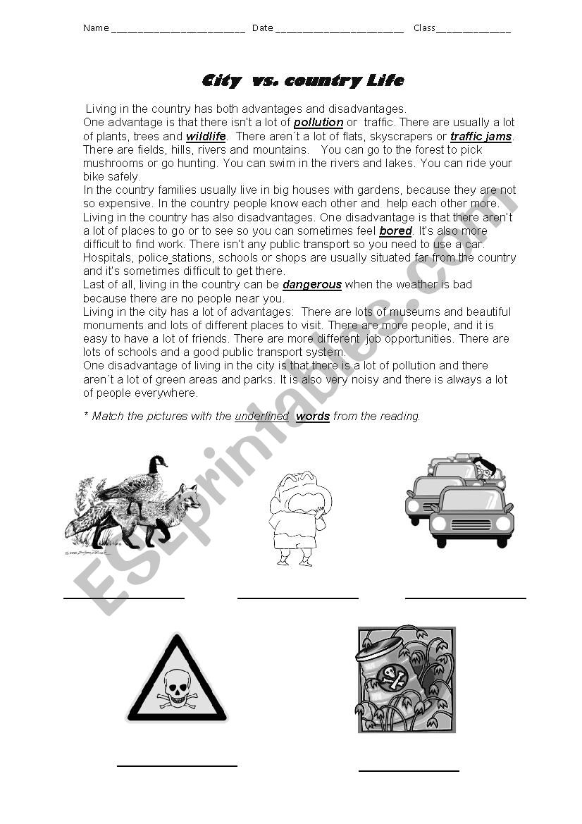 City vs Country life worksheet