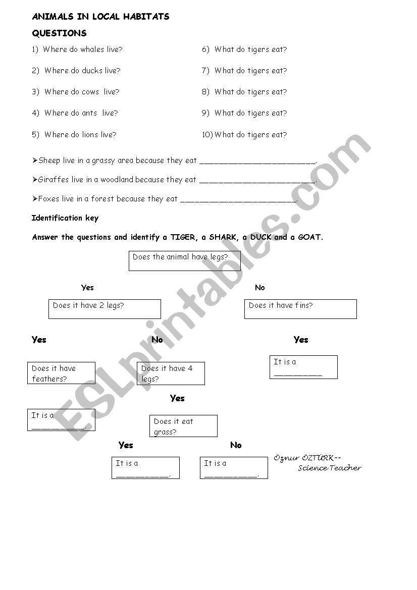 animals in local habitats worksheet