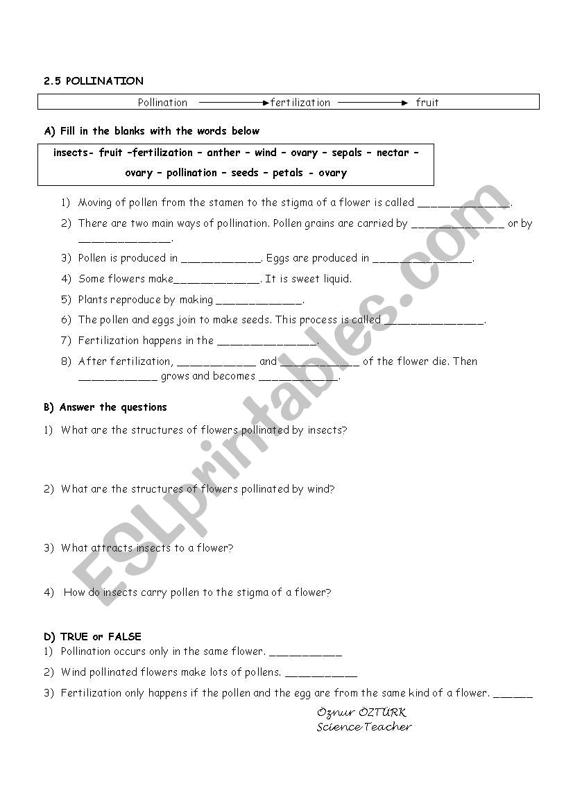 pollination worksheet