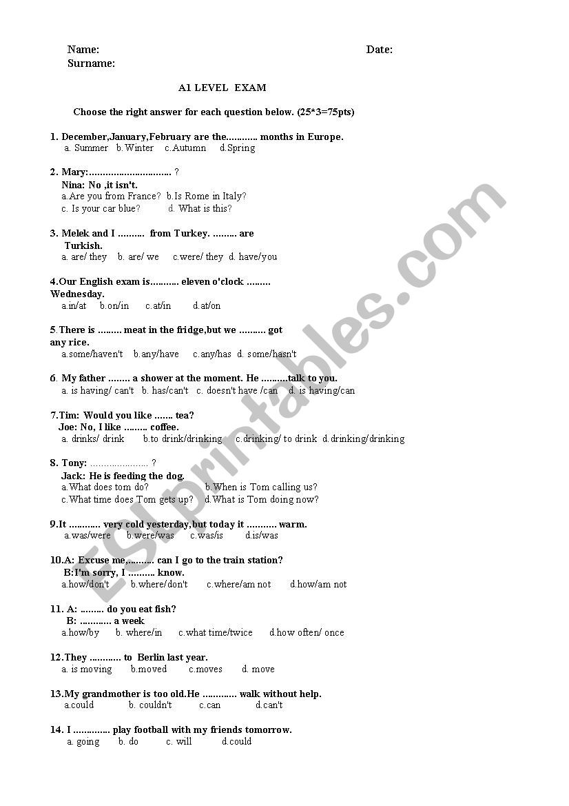 A1 Level Exam Sample worksheet