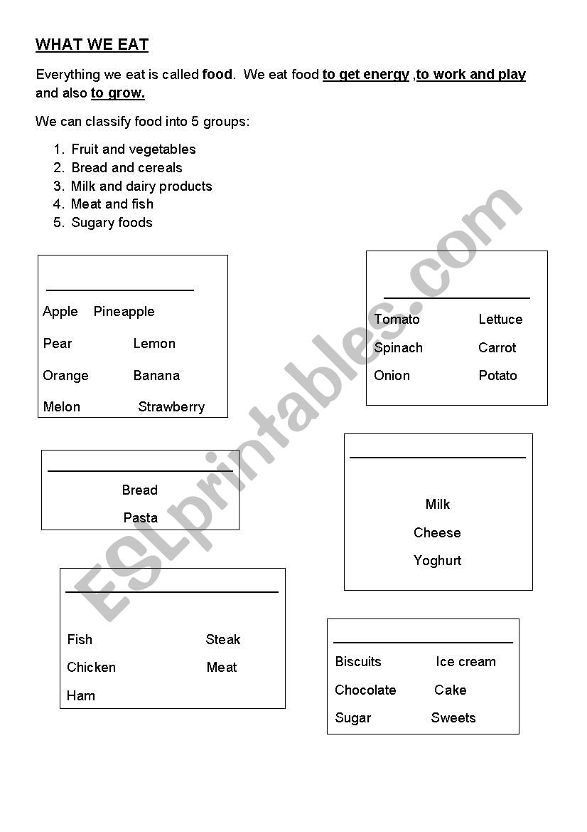 the 5 food groups worksheet