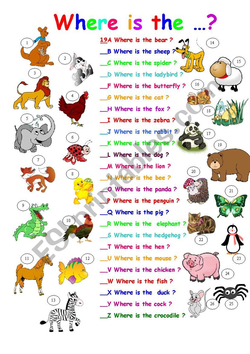 Where is the animal? worksheet