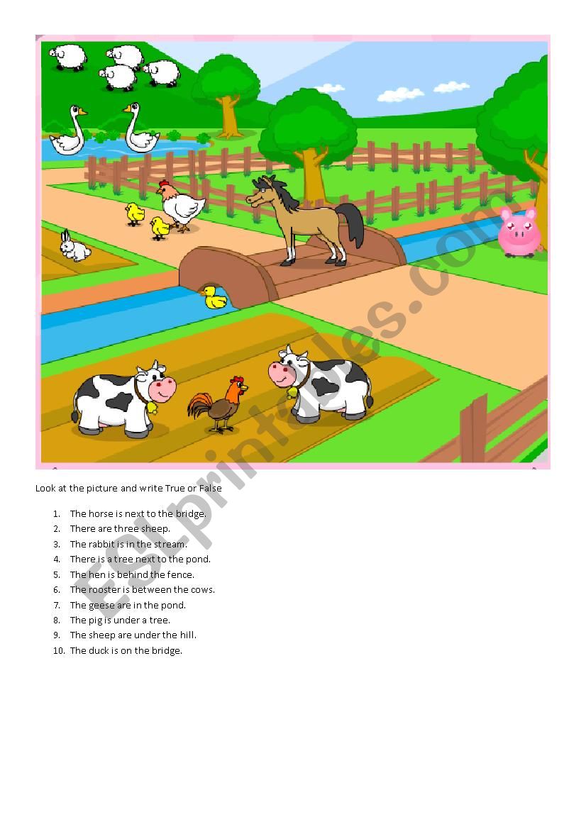 Prepositions of place and farm animals