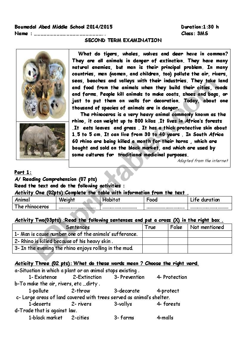 endangered animals  worksheet