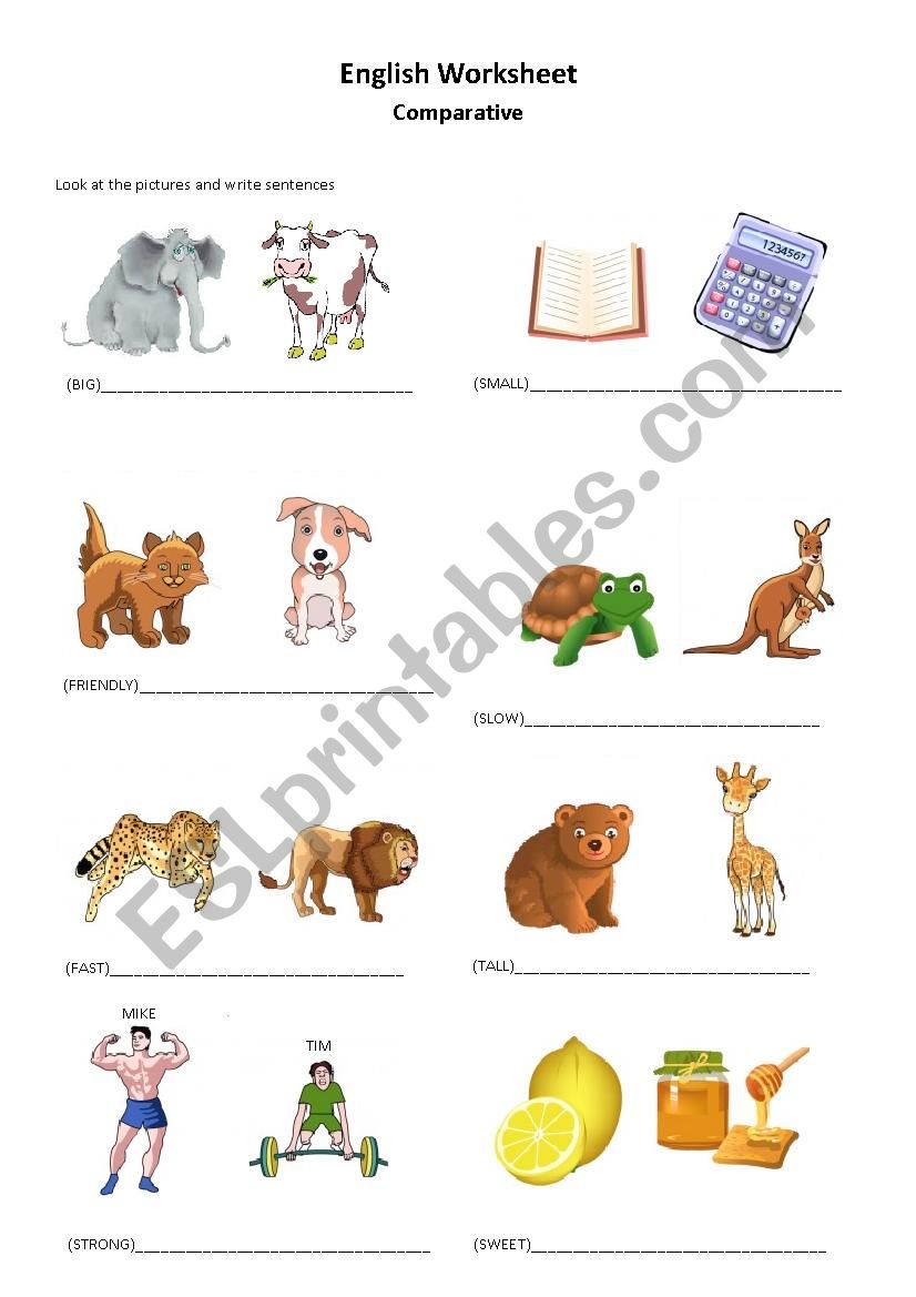 Comparative Exercises worksheet