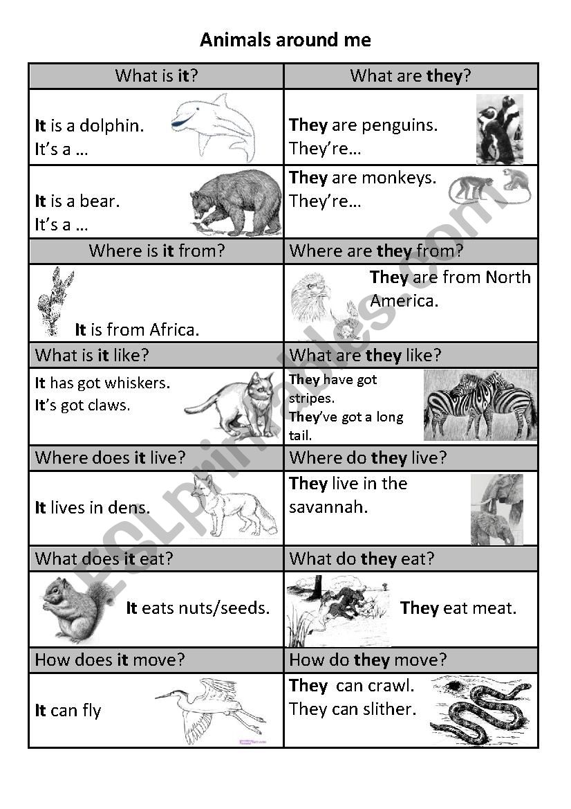 Animals around me worksheet