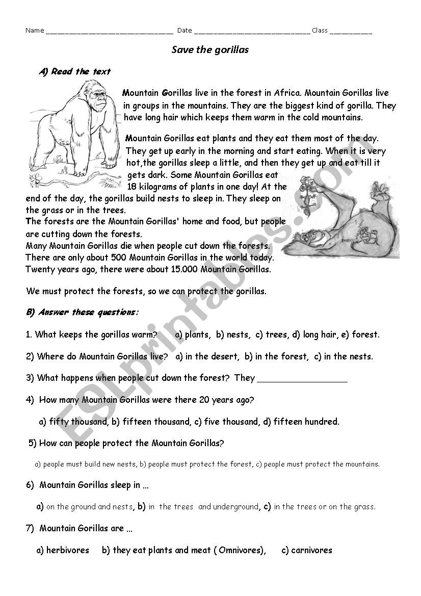 Save the gorillas worksheet