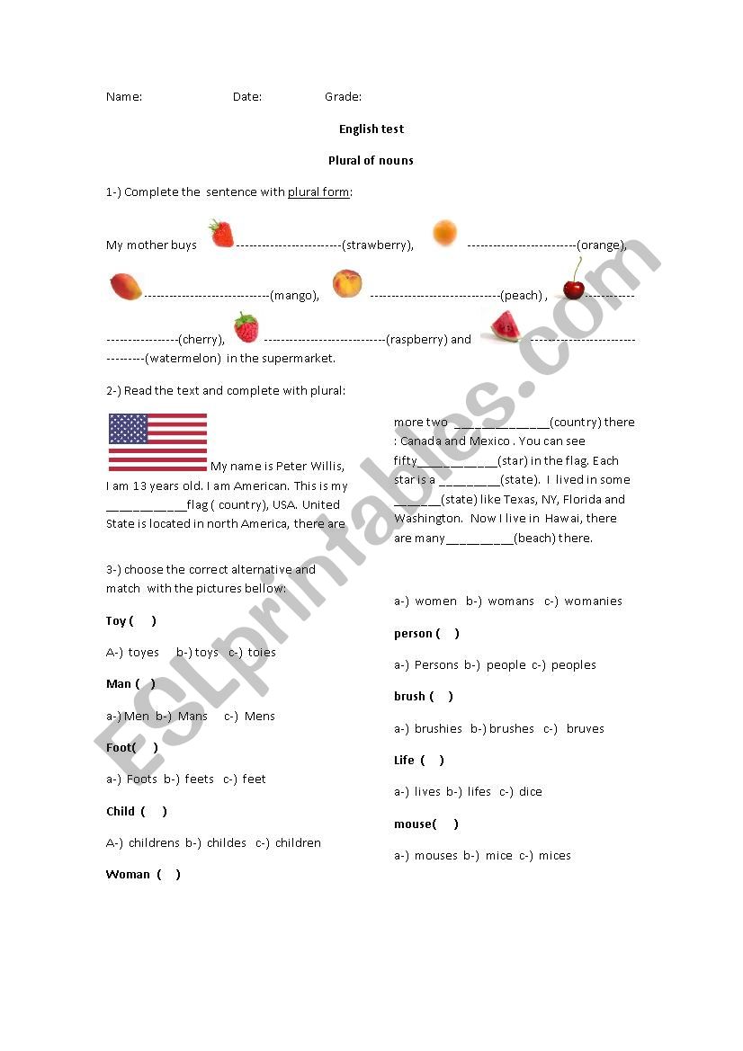 Plural of nouns test worksheet