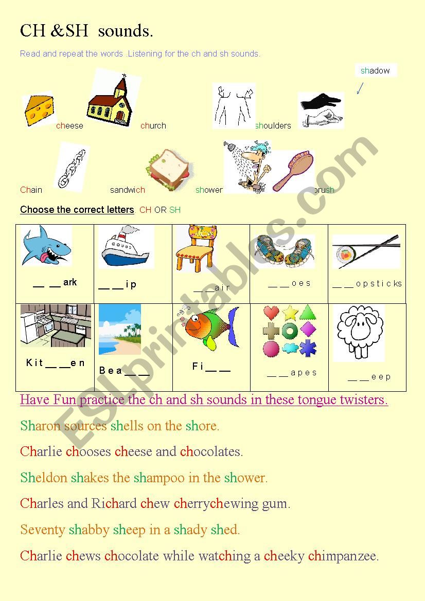  ch and sh  worksheet