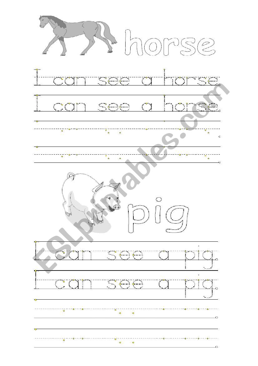 Animals and Pets worksheet