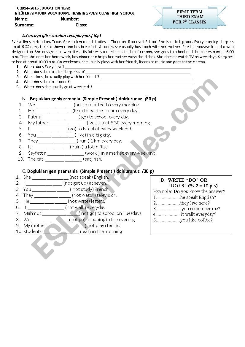 simple present grammar activity