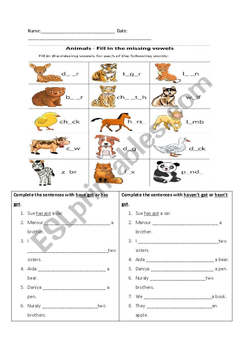 has/have worksheets worksheet