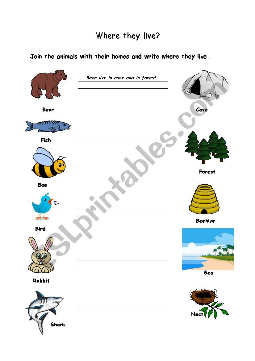 Where they live?  ESL worksheet by verca132