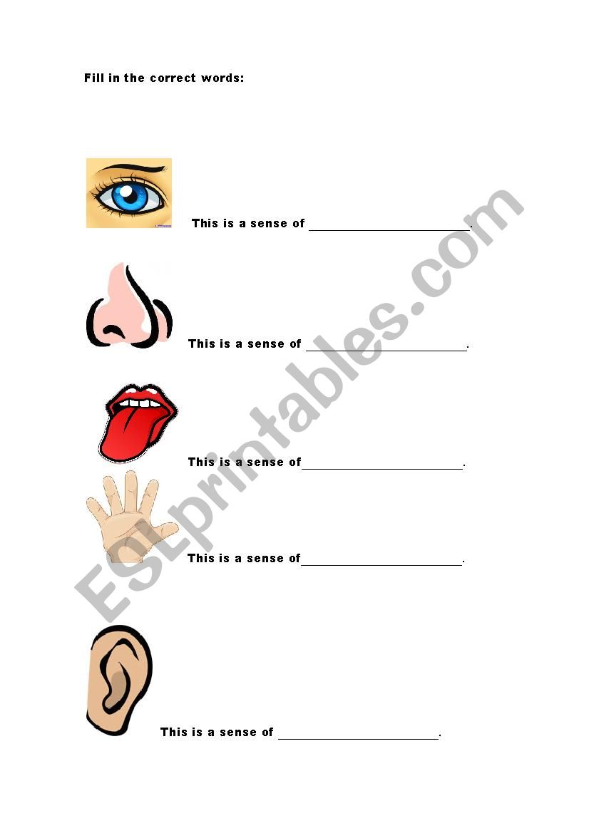 senses worksheet