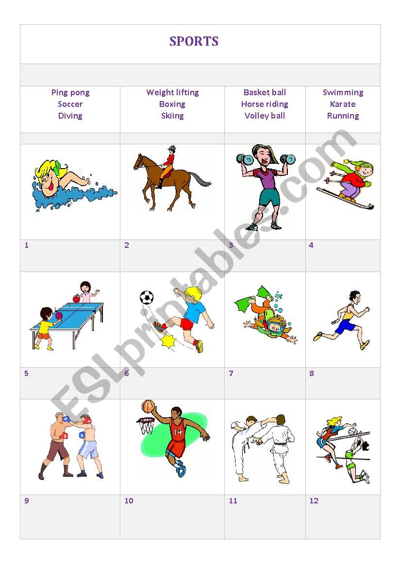 Sports worksheet