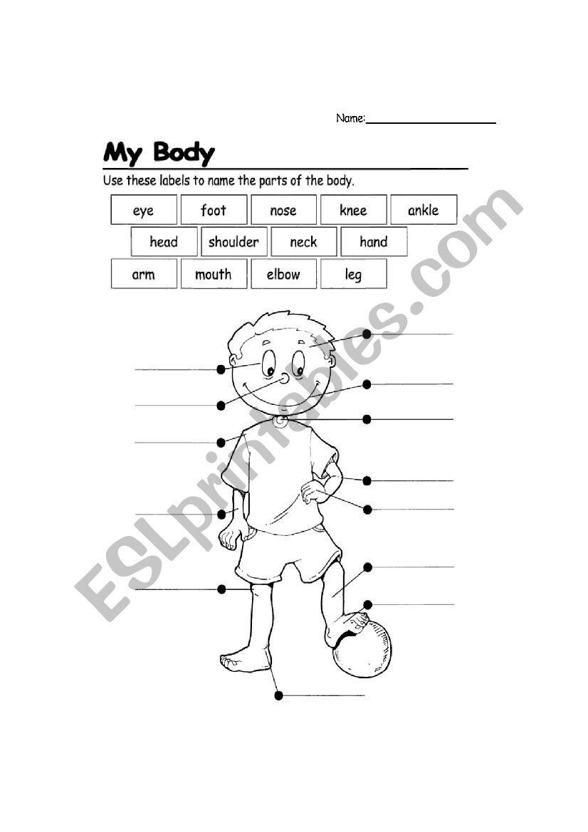 My body worksheet