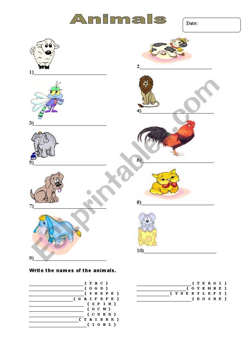 animals worksheet