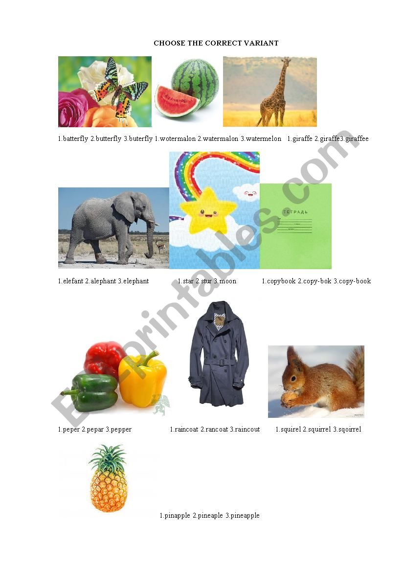 Choose the correct variant worksheet