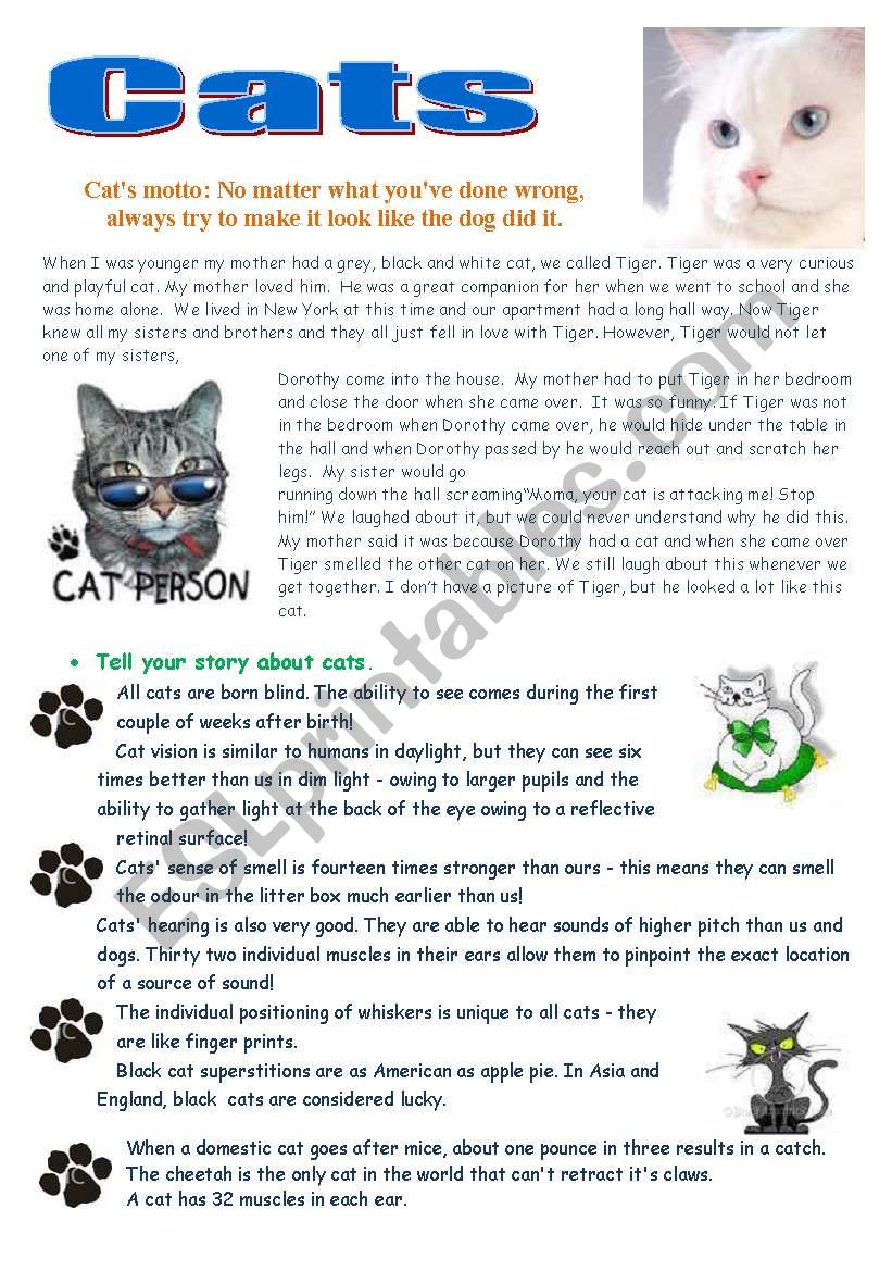 Cats worksheet