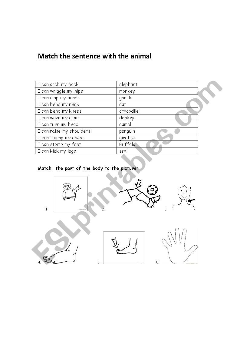 From Head to Tor worksheet