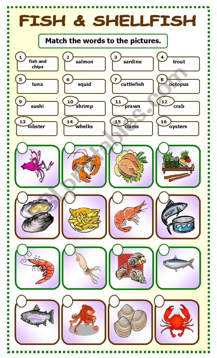 Fish and Shellfish:matching_5 worksheet