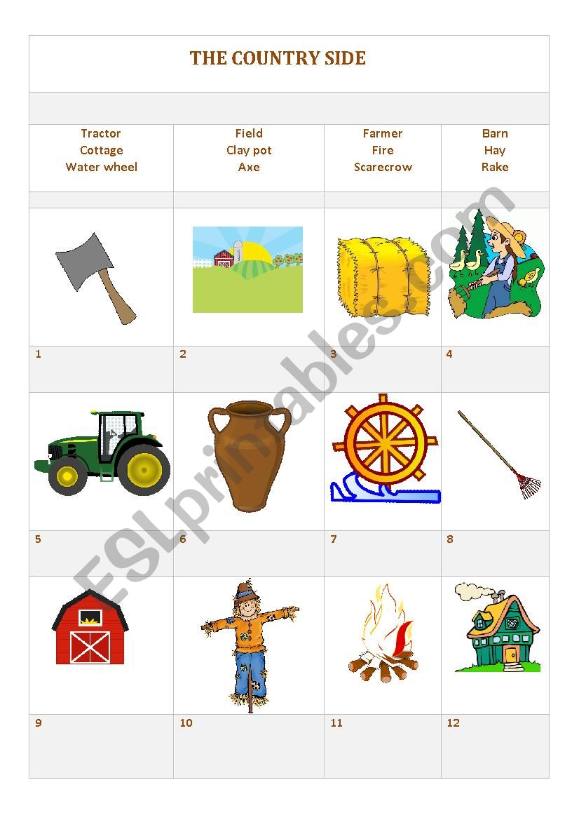 The country side worksheet