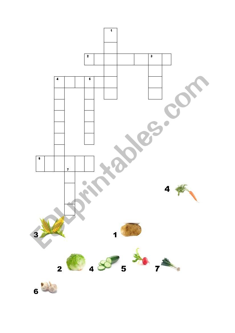 VEGETABLES worksheet