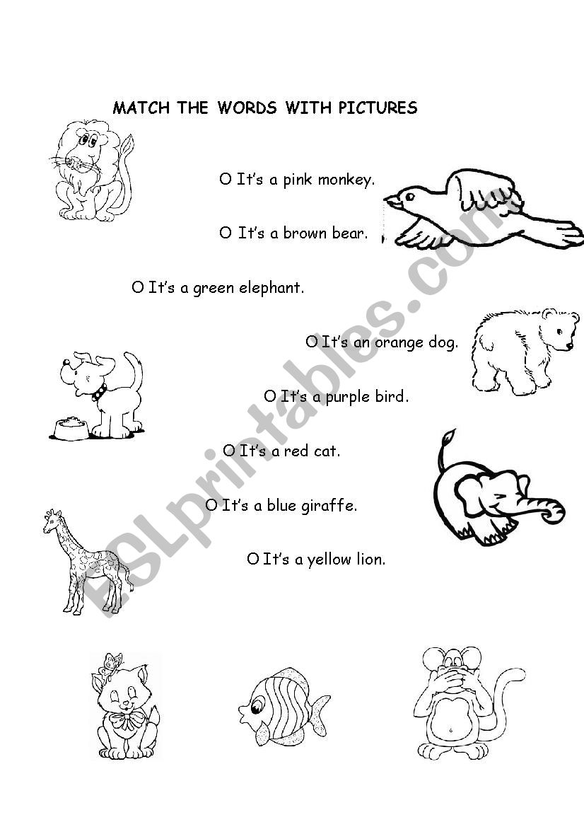 animals worksheet