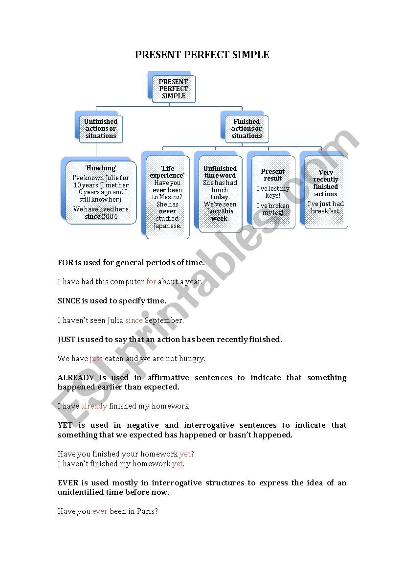 Present perfect simple worksheet