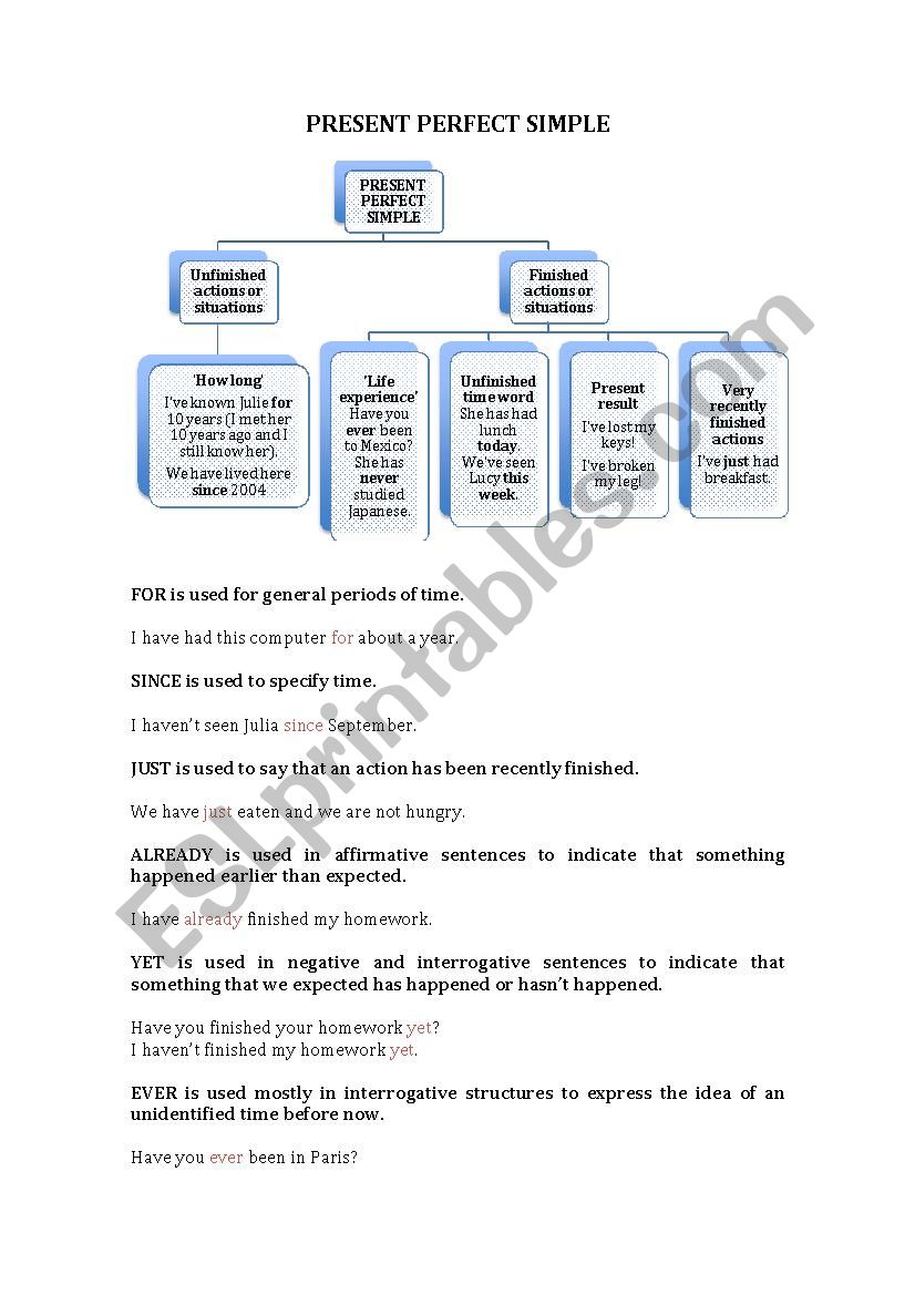 Present perfect simple worksheet