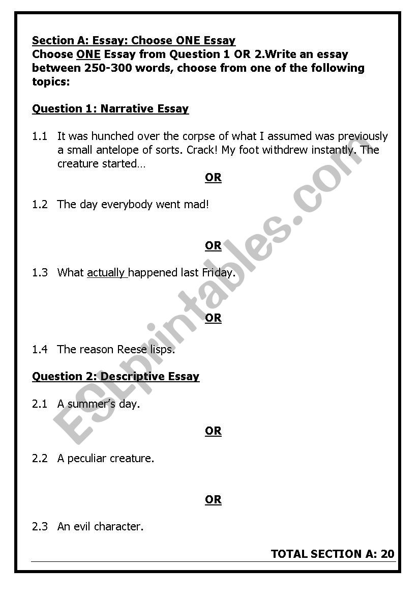 grade 9 creative writing test esl worksheet by msvanheerden