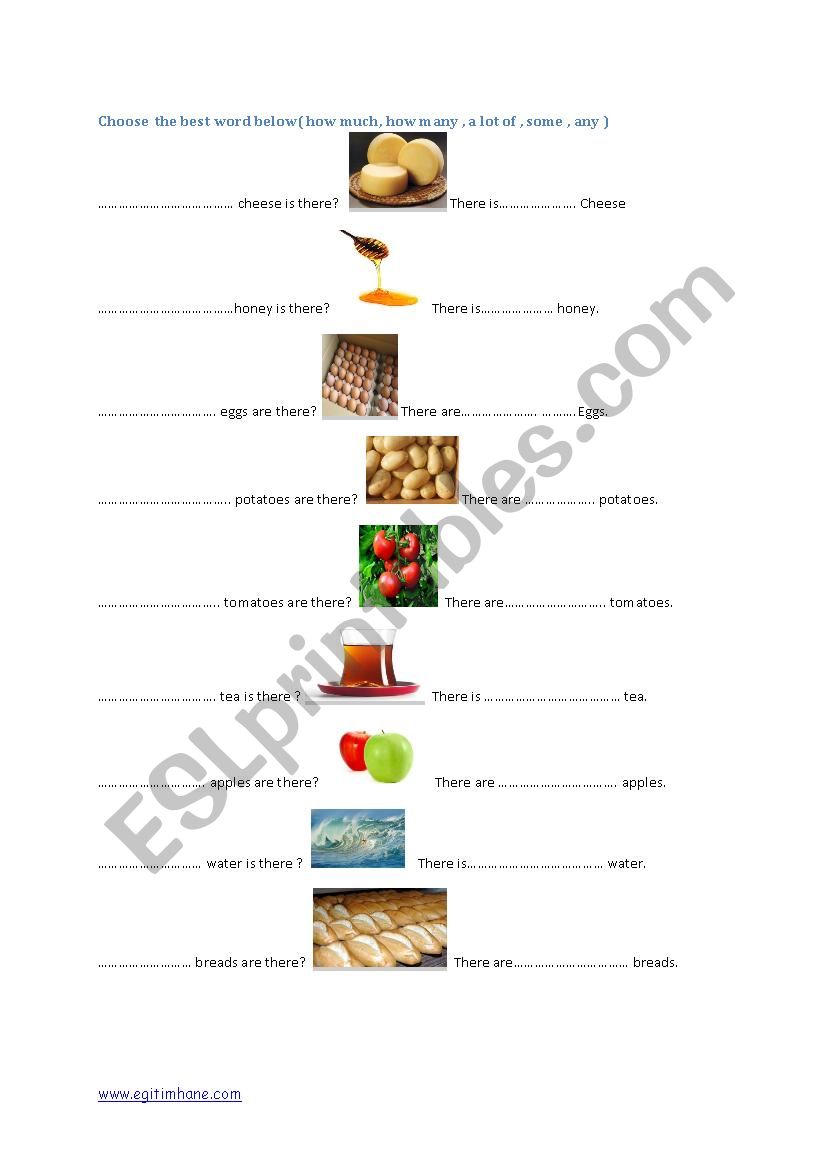 English lecturer worksheet