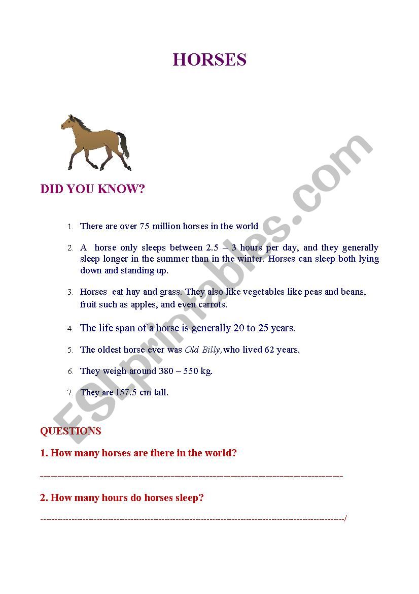 horses esl worksheet by melitsa85