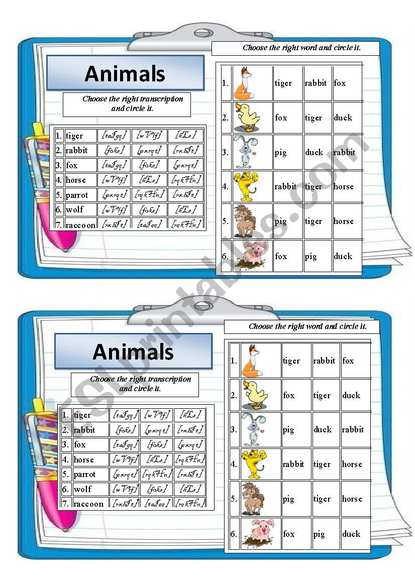 animals worksheet