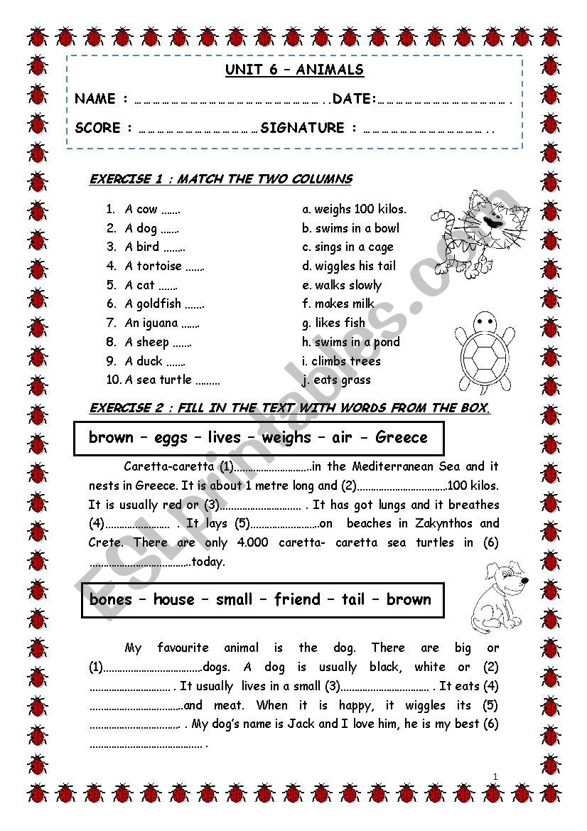 review exercises worksheet