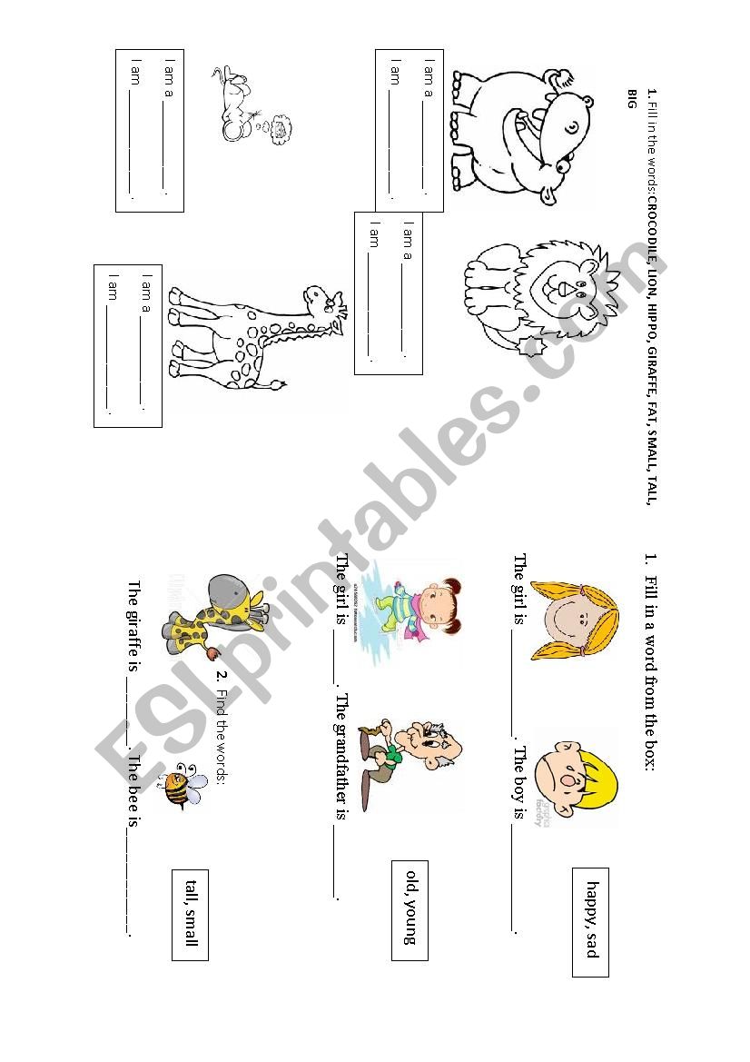 basic-adjectives-esl-worksheet-by-aiana