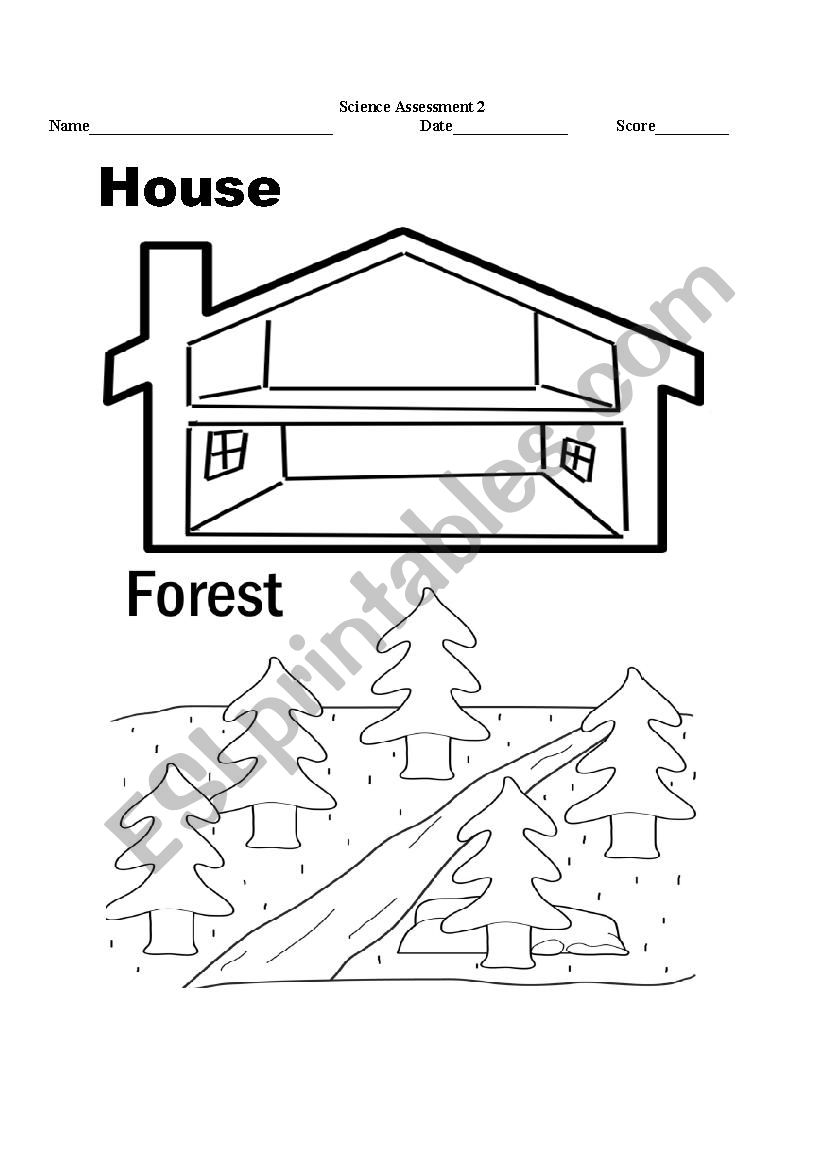 Living Things Habitat Worksheet