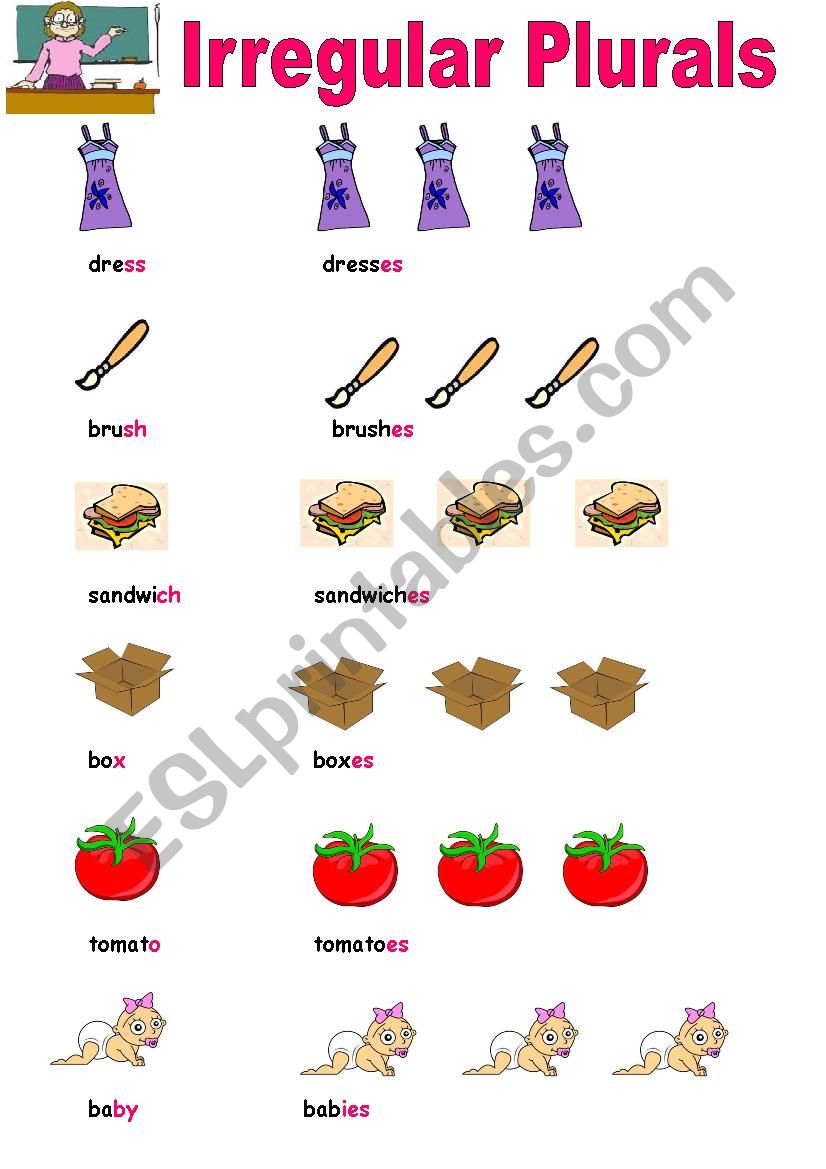 IRREGULAR  PLURALS worksheet