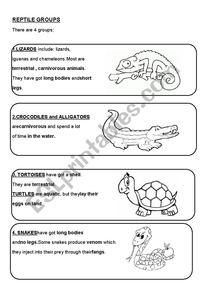 REPTILES worksheet