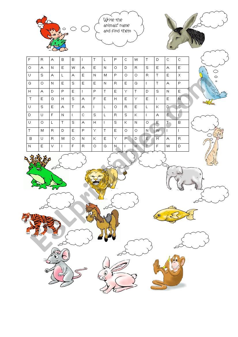 animals worksheet