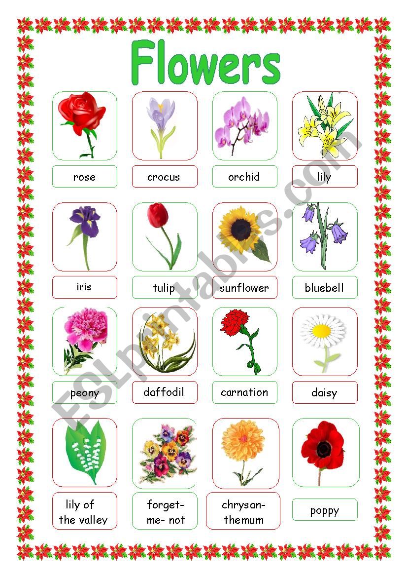 FLOWERS worksheet