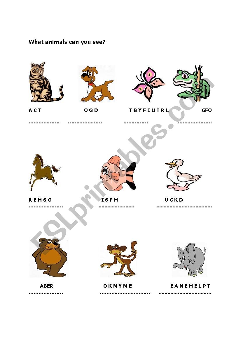 animals worksheet