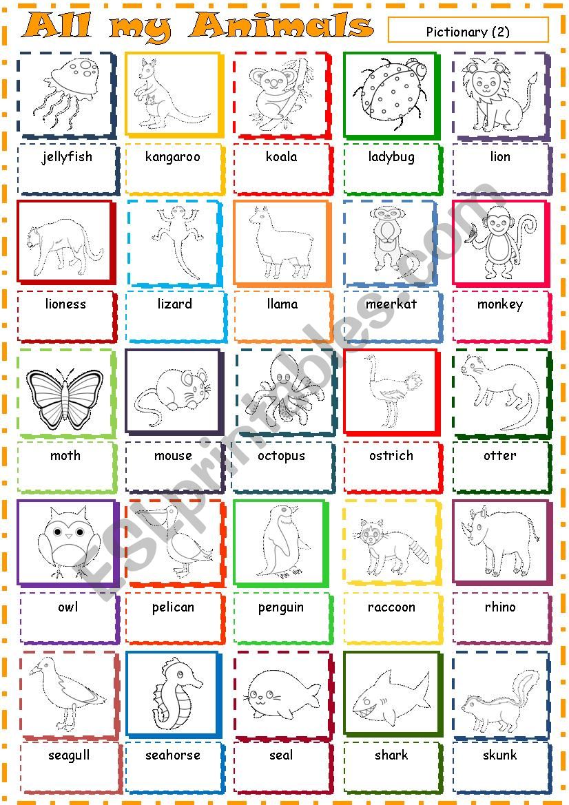 All my Animals * Pictionary 2 worksheet