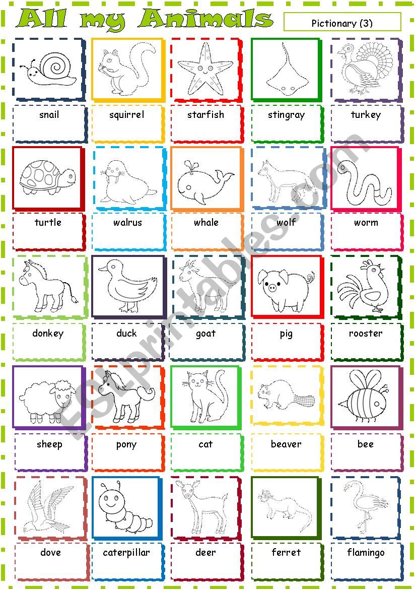 All my Animals * Pictionary 3 worksheet